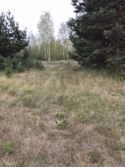 Участок 3 га (СНТ, ДНП)
