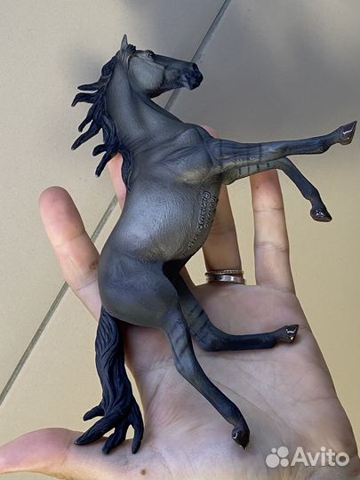 Кобыла мустанг