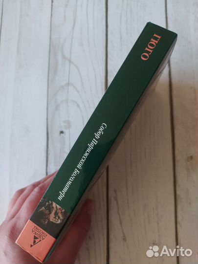 «Собор Парижской Богоматери» Гюго