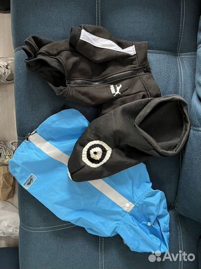 Одежда для средних собак