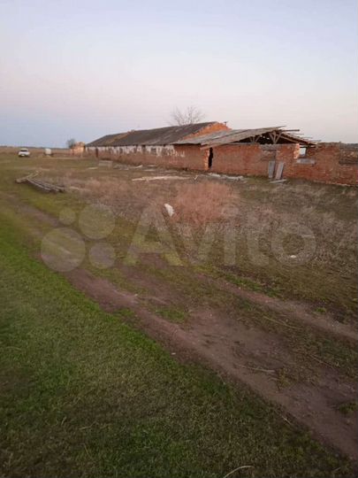 Участок 12 сот. (СНТ, ДНП)