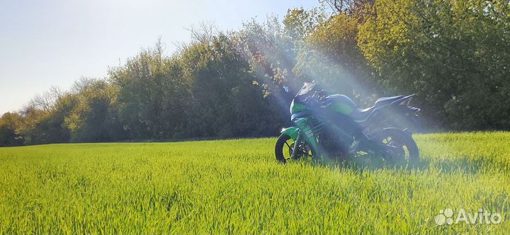 Racer Skyway rs300cs