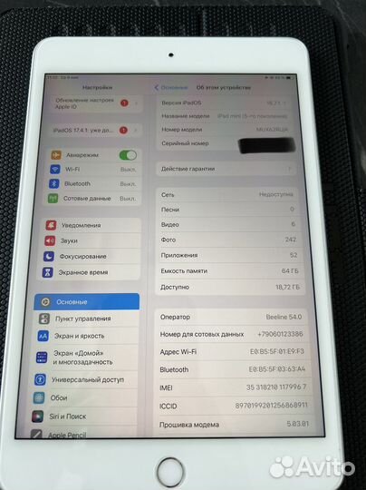 iPad mini 5 64gb cellular