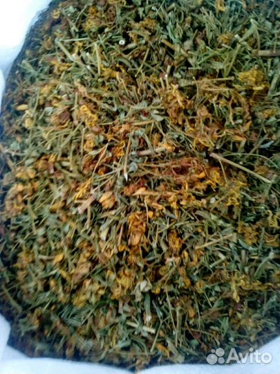 Травы,сборы