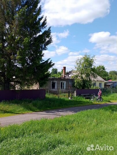 Ёлка огромная