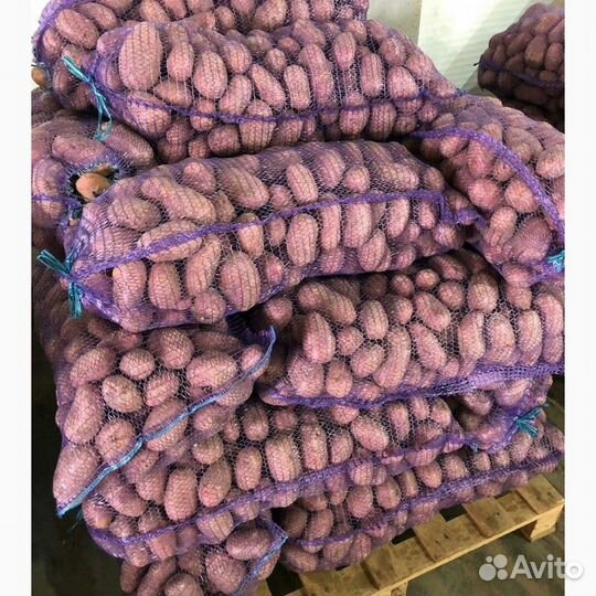 Картофель с доставкой