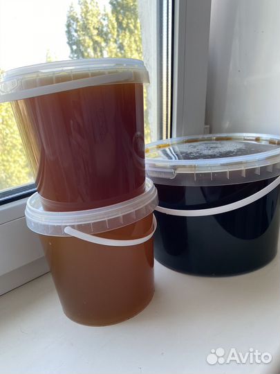 Мед урожай 2023.Гречка,цветок