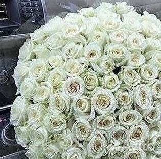 Высокие розы Гигантские розы Доставка цветов