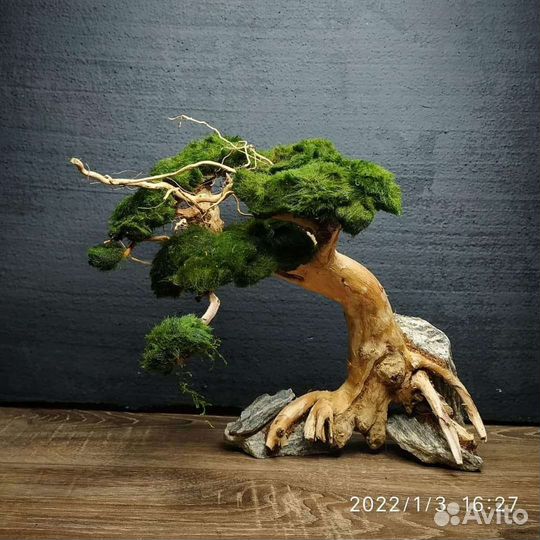 Бонсай для аквариума, коряги для аквариума, оформл