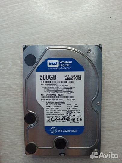 Жетский диск Western digital 500gb