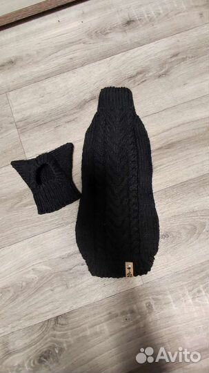 Одежда для кошек