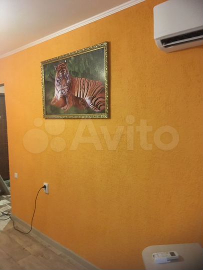 1-к. квартира, 26 м², 1/2 эт.