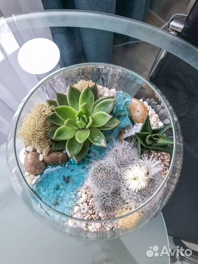 Флорариум размер S, M