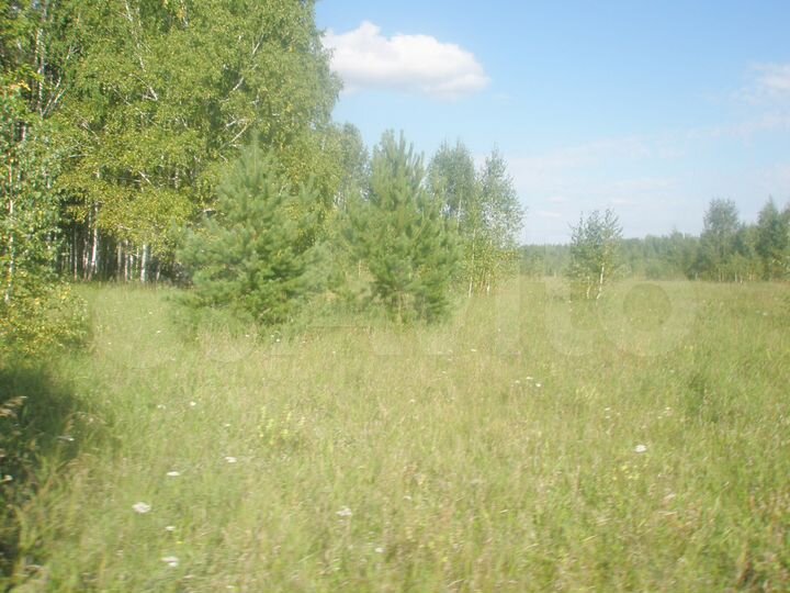 Участок 22 сот. (СНТ, ДНП)
