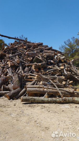 Дрова дуб ясень