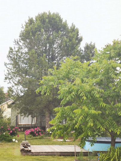 Дача 24 м² на участке 9,1 сот.