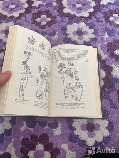 Практикум по курсу общей ботаники