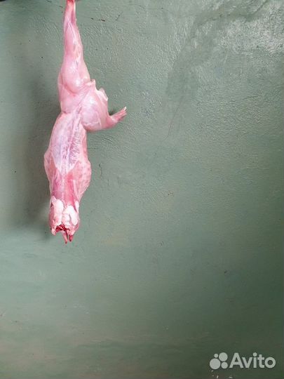 Мясо кролика