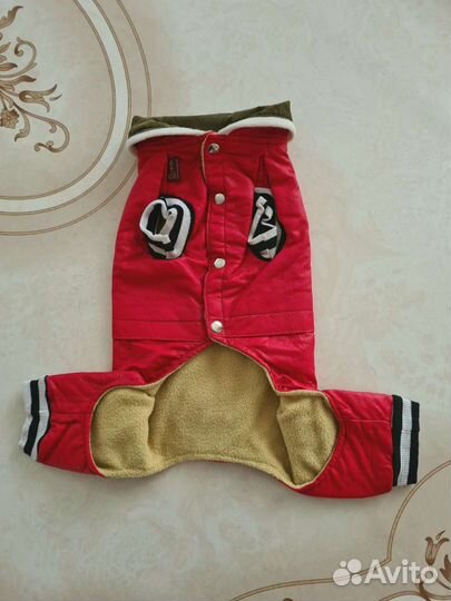 Одежда для собак