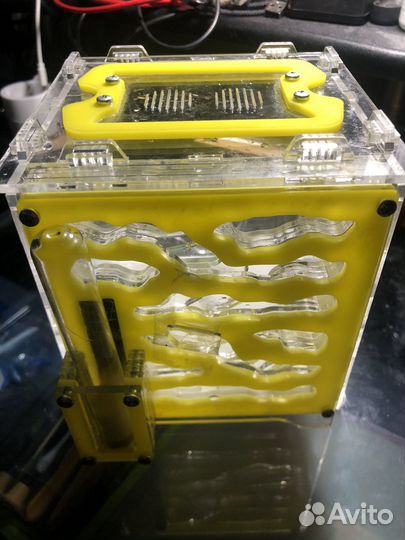 Формикарий муравьиная ферма