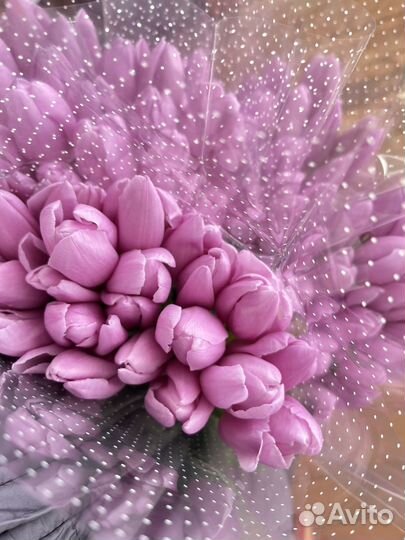 Тюльпаны к 8 марта