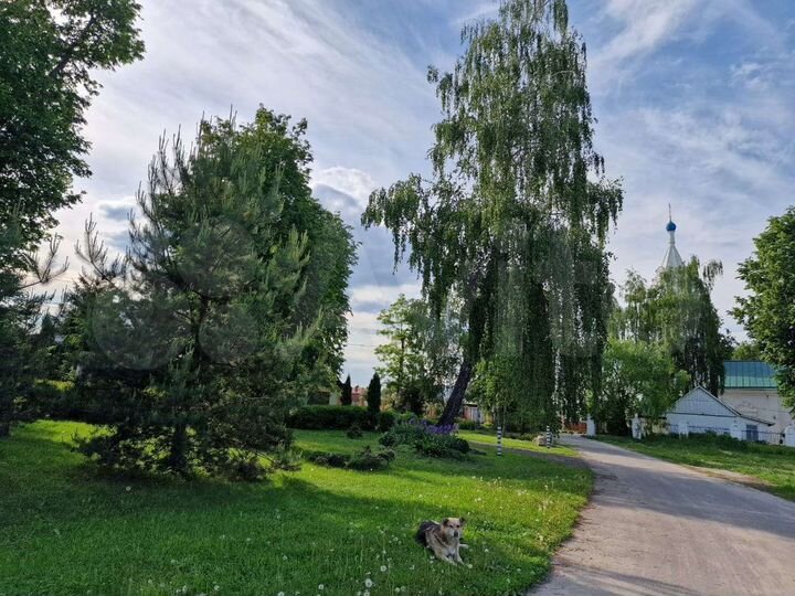 Участок 9,3 сот. (ИЖС)