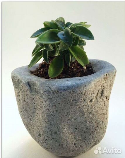 Кашпо, цветочные горшки, вазоны из натурального ка