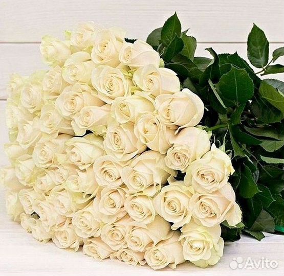 Розы Высокие Розы Гиганты Доставка Москва