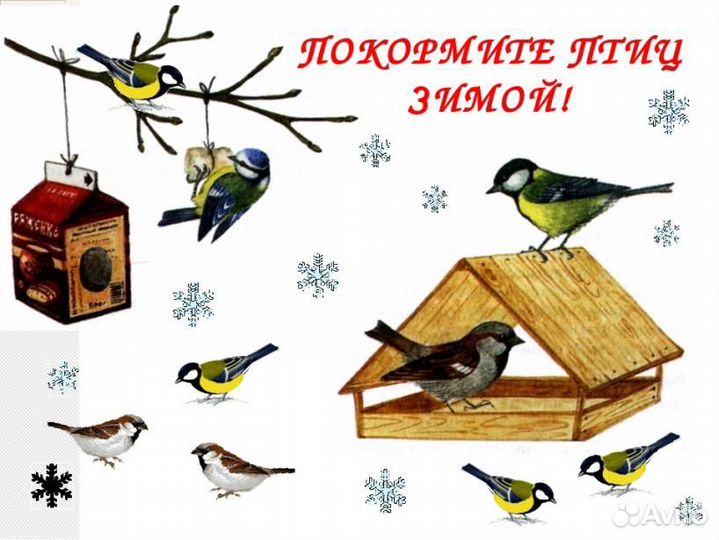 Семечки для птиц