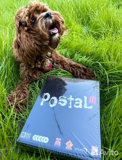 Postal 3 Коллекционное издание для пк