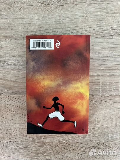 Книжный вор