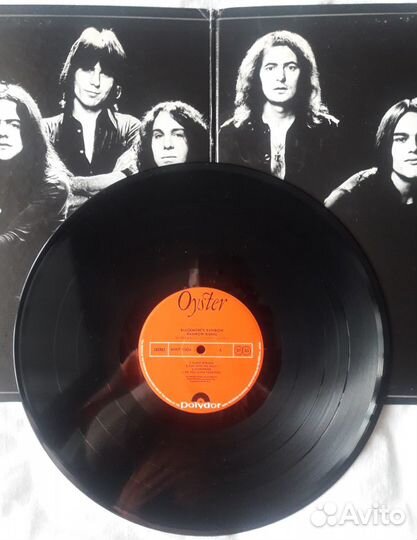 Виниловые пластинки Rainbow. The Who
