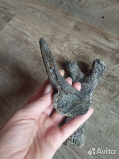 Парочка гусь да гогарочка