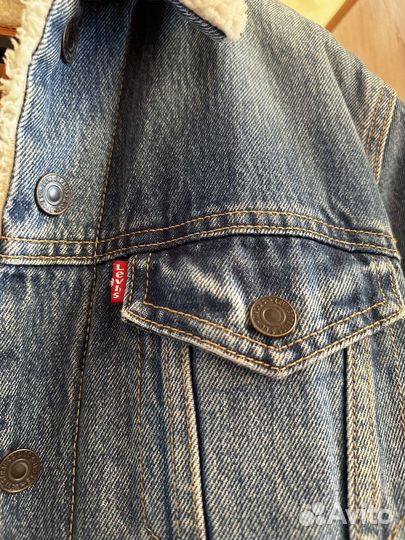 Шерпа levis