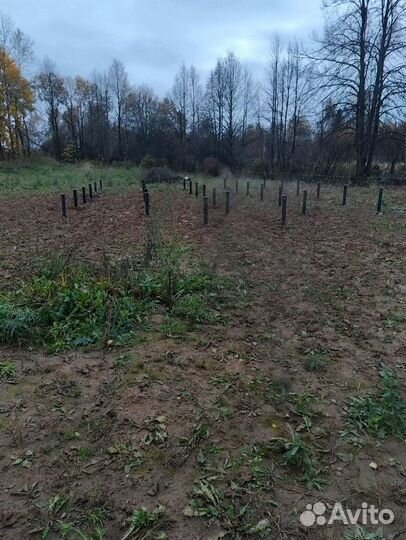 Винтовые сваи от производителя