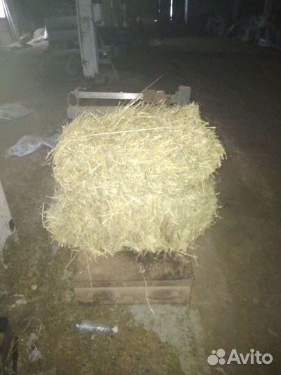 Сено в тюках