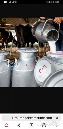 Супермолоко, творог домашний