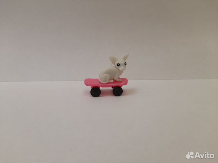 Скейтеры из Ленты