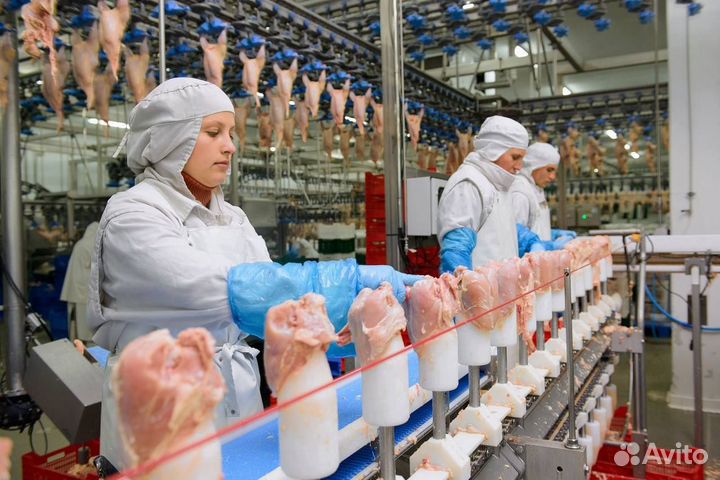 Фасовщик на линию конвейера. Вахта