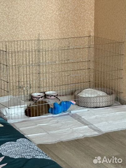 Вольер для собак в квартиру