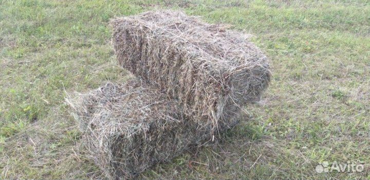Сено в брикетах