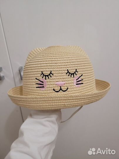 Панама котик