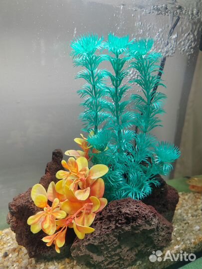 Аквариум с рыбками