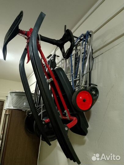 Аргомак детский