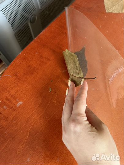 Стол обеденный