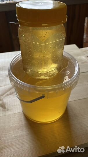 Мед акациевый, горная акация (карагана)