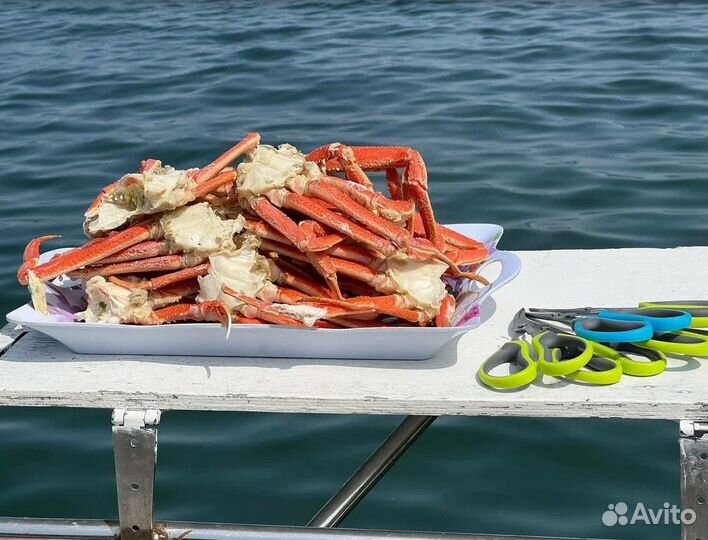 Тур на Камчатку экскурсии от 5 до 9 д