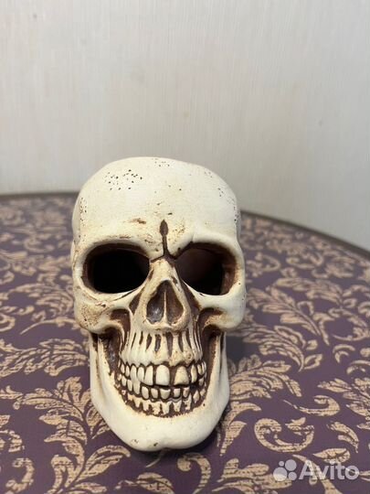 Террариум для рептилий