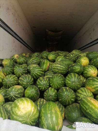 Арбузы оптом