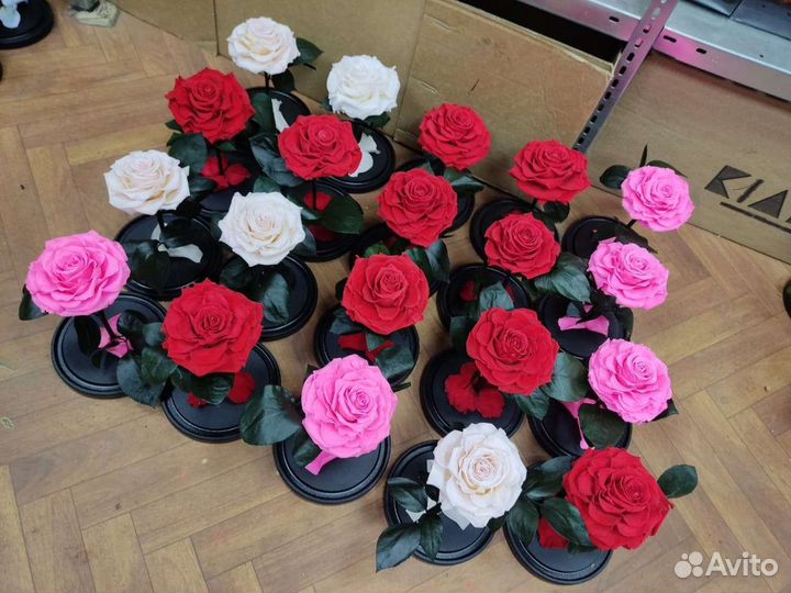 Роза в колбе